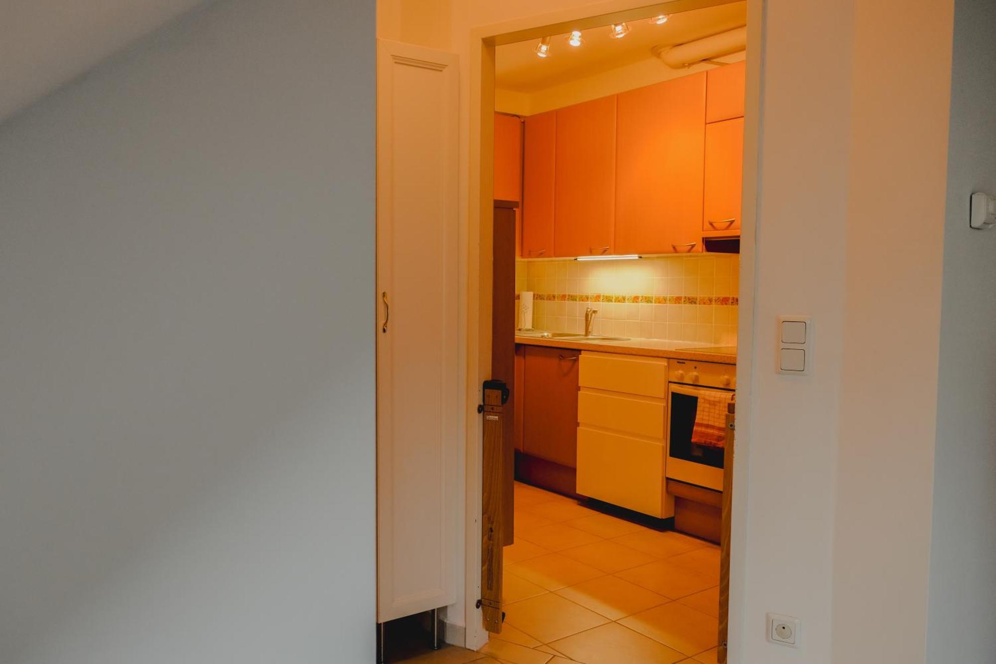 Terrace Apartment Near Volksoper And City Centre Viena Exterior foto